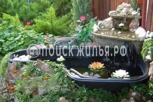 «Паутинка», Севастополь