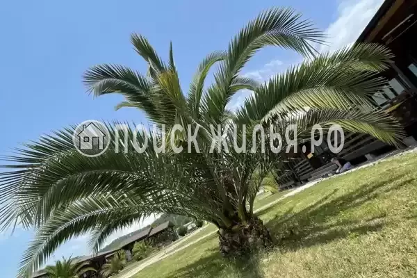 Отель «Тихая Лагуна», Пицунда