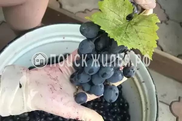 Гостевой дом «Александрия», Кабардинка