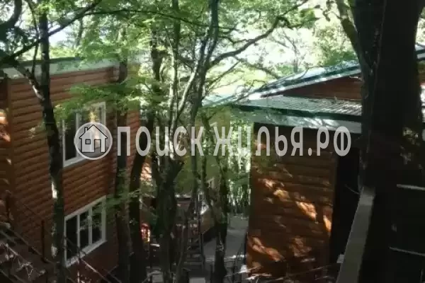 База отдыха «Тихий лес», Криница База отдыха «Тихий лес», Криница