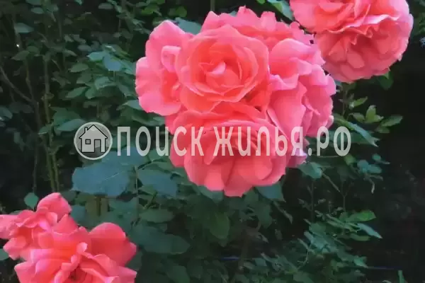 Частный сектор «На Светлом», Дивноморское