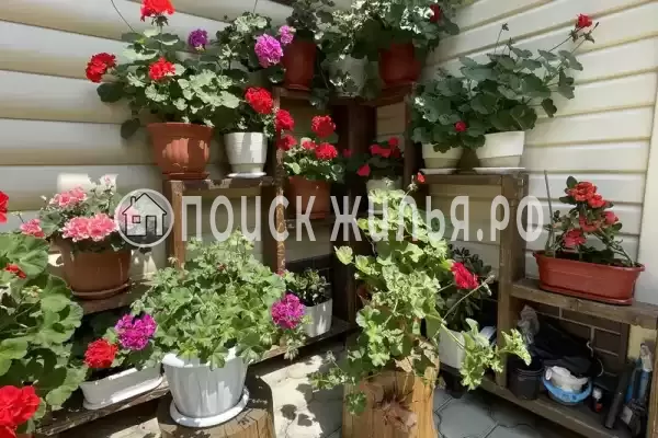 Гостевой дом «Маргарита», Лазаревское