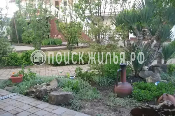 «Беляночка», Новомихайловский