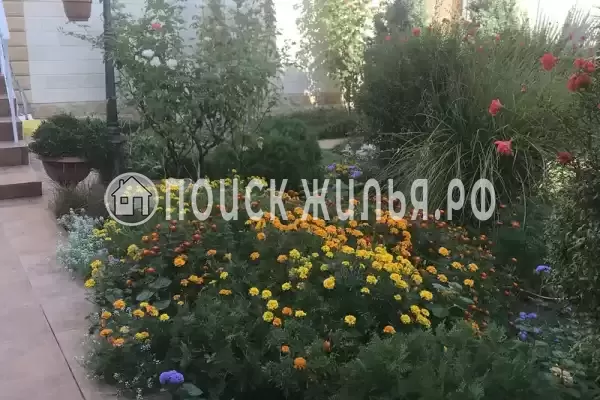 Частный сектор «Вита», Лазаревское