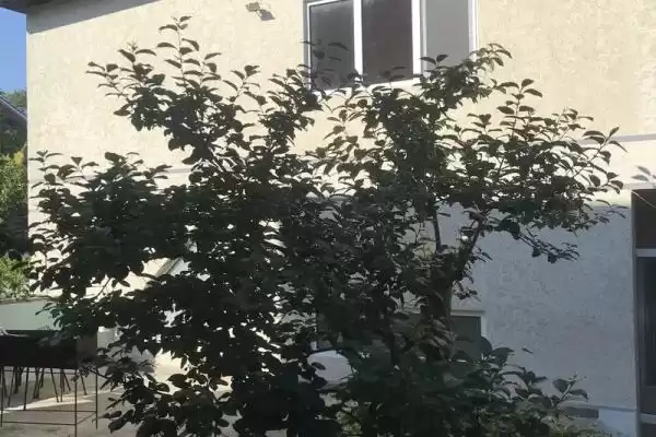 Гостевой дом «На Черноморской»