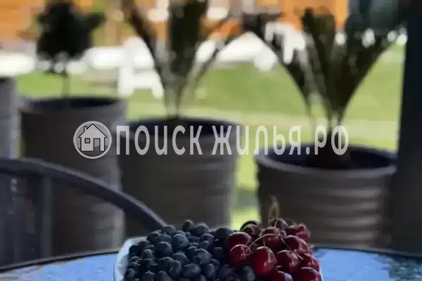 Гостевой дом «Артём», Новый Афон