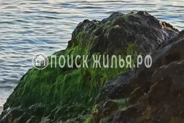 Частный сектор «Альбатрос», Голубицкая Частный сектор «Альбатрос», Голубицкая
