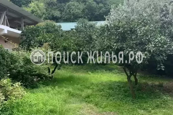 Гостевой дом «Каролина», Лдзаа
