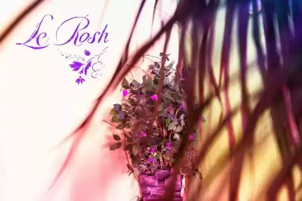 Гостевой дом «Le rosh»
