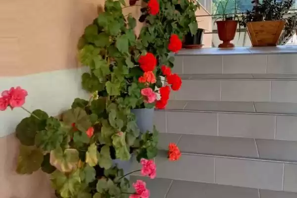Гостевой дом «Loo Home&Sea»