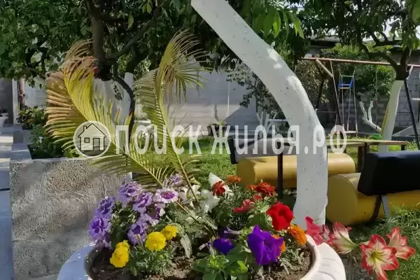 Гостевой дом «Камелия», Алахадзы