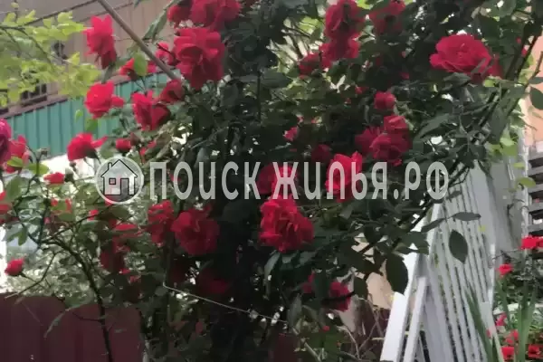 Гостевой дом «Монако», Адлер Гостевой дом «Монако», Адлер