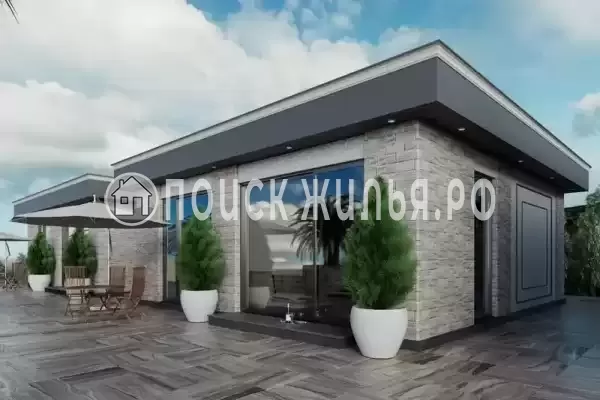 «Черный кот», Головинка