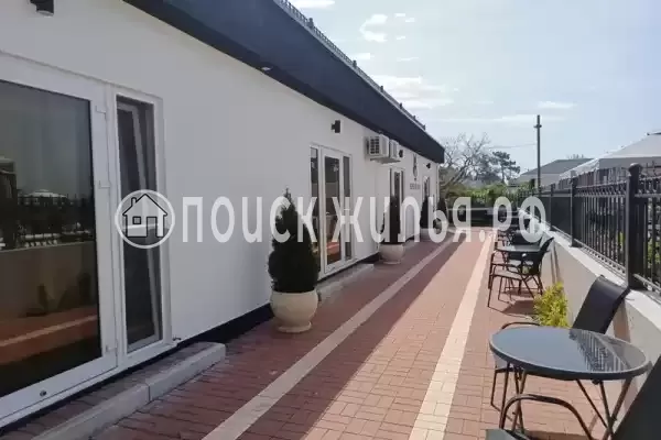 «Черный кот», Головинка