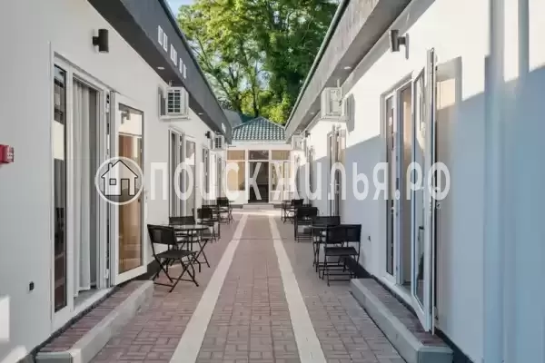 «Черный кот», Головинка