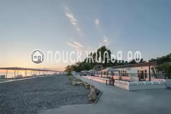 «Черный кот», Головинка