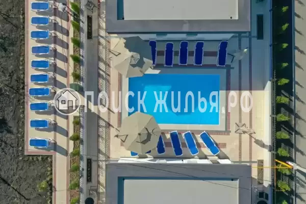 «Черный кот», Головинка