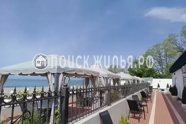 «Черный кот», Головинка