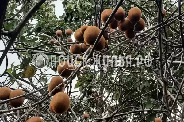 Дом под ключ «На Приморской», Цандрипш