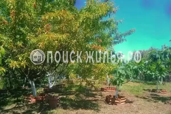 Частный сектор «У Отара», Сухум