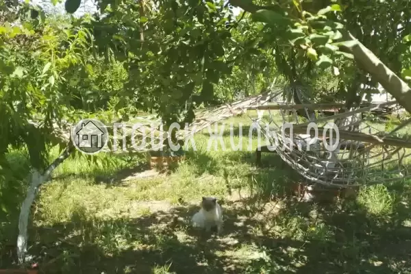 Частный сектор «У Отара», Сухум