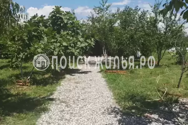 Частный сектор «У Отара», Сухум