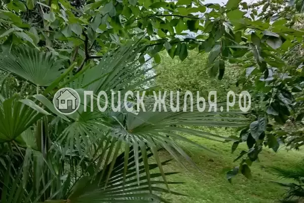 Дом под ключ «У моря», Волконка