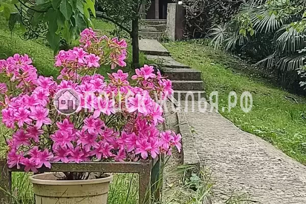 Дом под ключ «У моря», Волконка