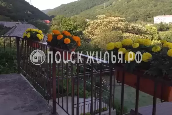 «Поляна», Макопсе