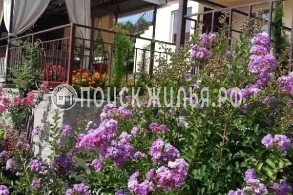 «Поляна», Макопсе