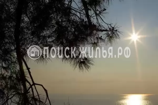 «Благое», Лазаревское «Благое», Лазаревское