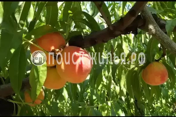 Дом под ключ «Криница», Бетта