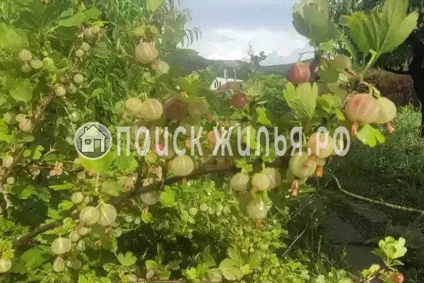 Дом под ключ «Криница», Бетта