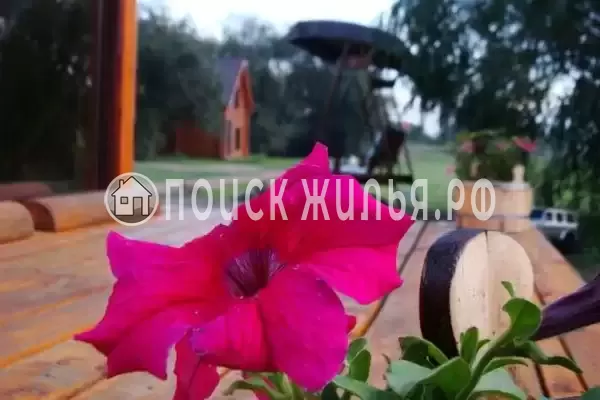 «Серебряное Копытце», Пермь