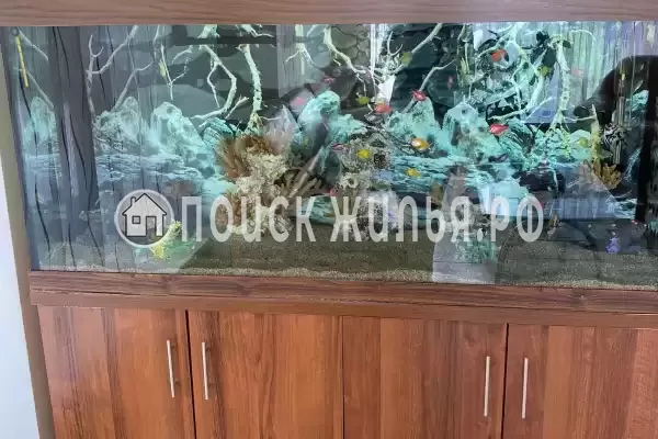 Отель «Паллада», Новокузнецк