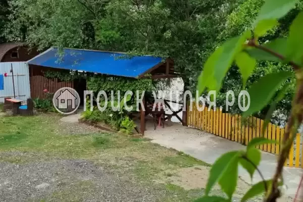 «Надежда», Шепси