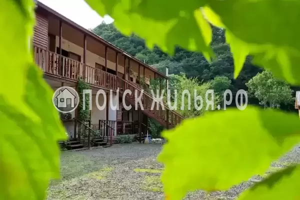 «Надежда», Шепси