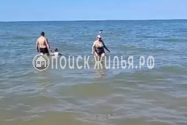 «На Зеленой 7», Кучугуры