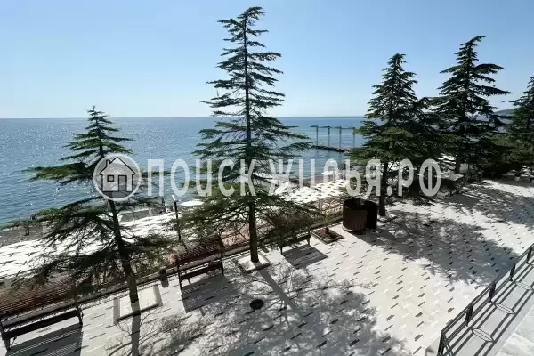 Отель «COOCOOROOZA», Сочи