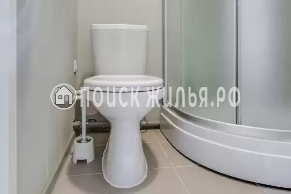 «Sokroma Daily», Санкт-Петербург