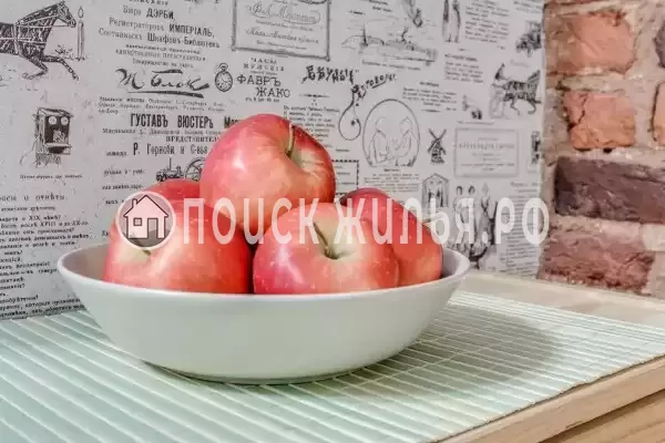 «Sokroma Daily», Санкт-Петербург