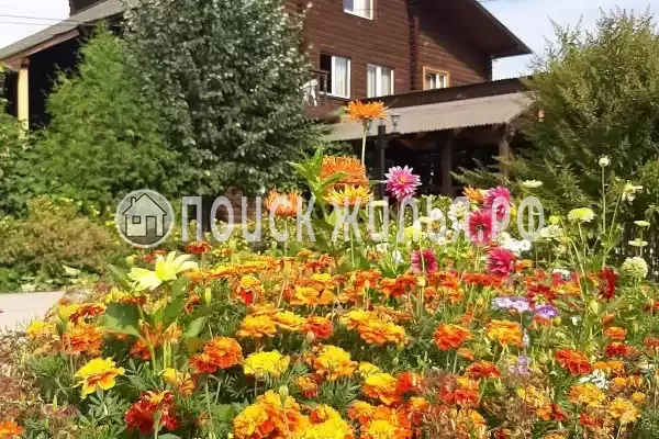 «Чемальское заречье», Чемал