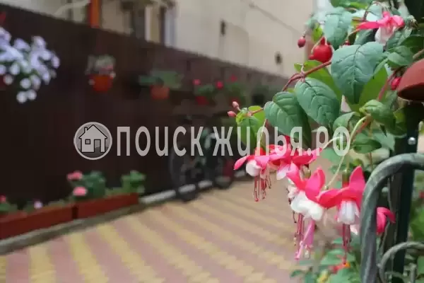 Частный сектор «Частный дом Ангелина», Адлер