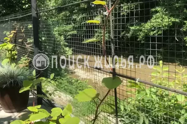 Частный сектор «Коттедж Александрия», Архипо-Осиповка