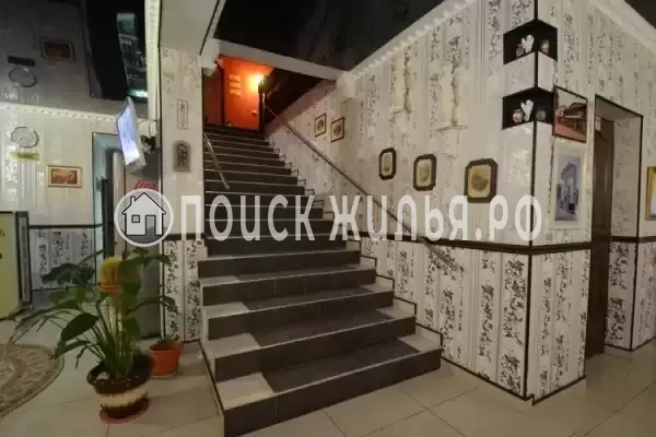 «Сочи», Брянск