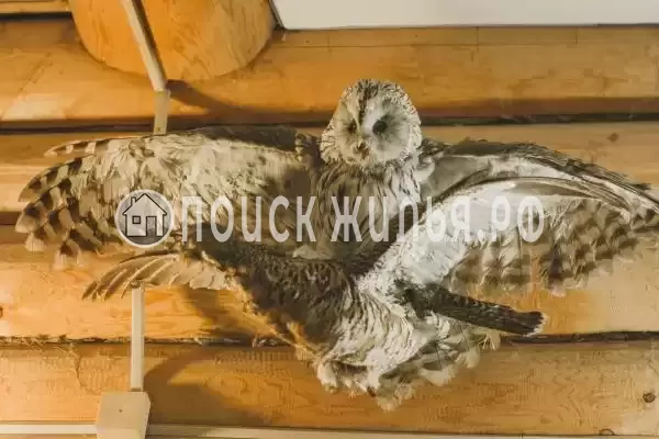 «Рябиновый», Белорецк