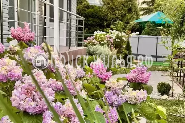 «Лаванда», Ольгинка «Лаванда», Ольгинка