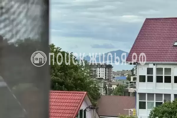 «Шафран», Адлер «Шафран», Адлер