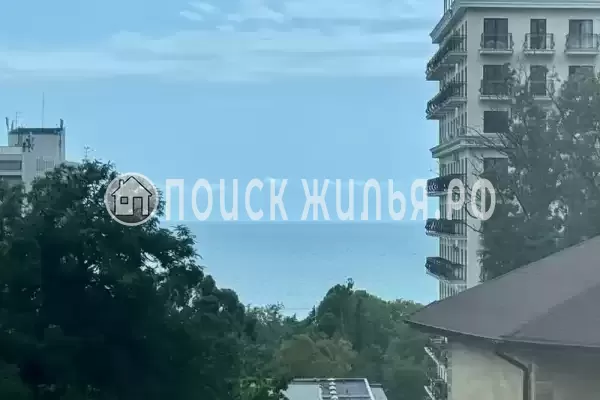 «Шафран», Адлер «Шафран», Адлер