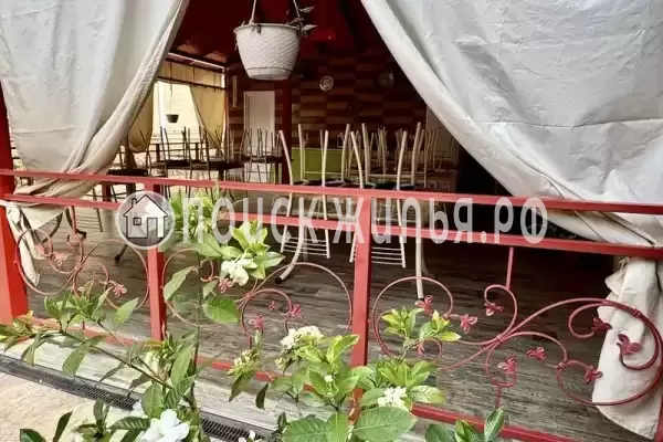 «Шафран», Адлер «Шафран», Адлер